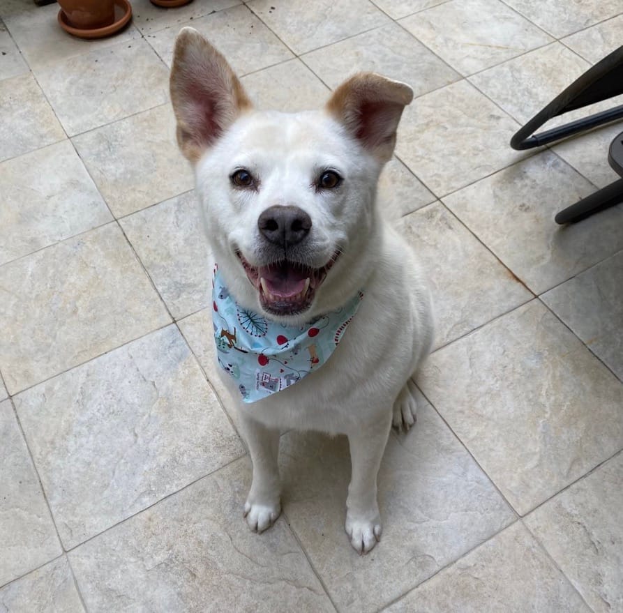 The Long, Long Tunnel