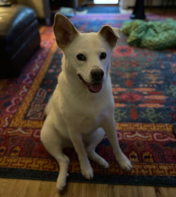 Welcome Back My Friends To The Show That Never Ends ...